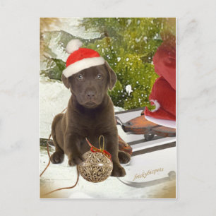 Chocolate Lab Loves Christmas Cards