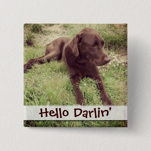 Chocolate Lab Lying In Grass Photograph Pinback Button