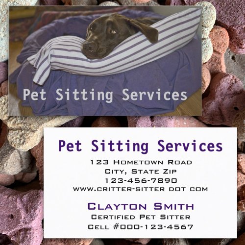 Labrador Retriever In Bed Business Card Template