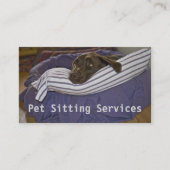 Chocolate Lab Lying on Purple and White Pillow Business Card (Front)