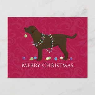 Chocolate Lab Merry Christmas Design Holiday Postcard