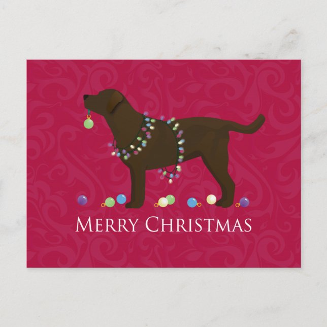 Chocolate Lab Merry Christmas Design Holiday Postcard (Front)