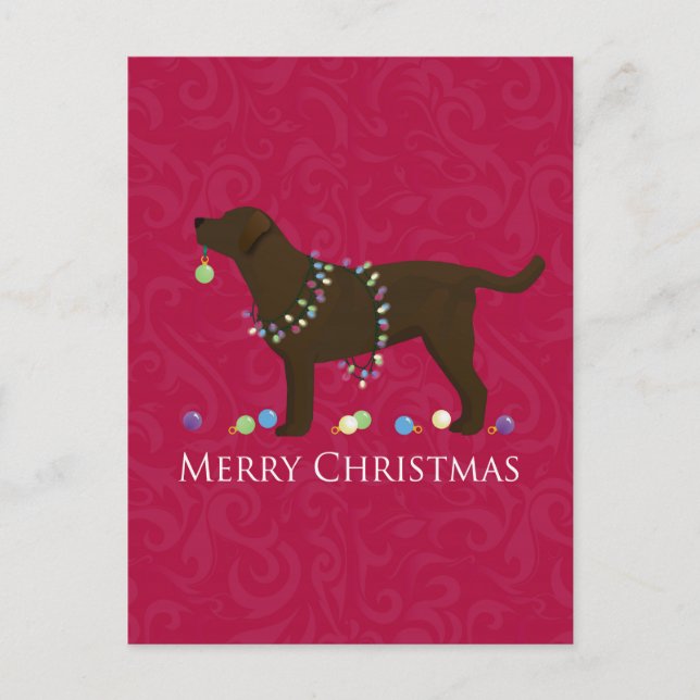 Chocolate Lab Merry Christmas Design Holiday Postcard (Front)