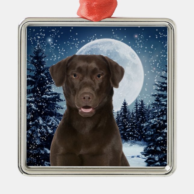 Chocolate Lab Metal Ornament (Front)