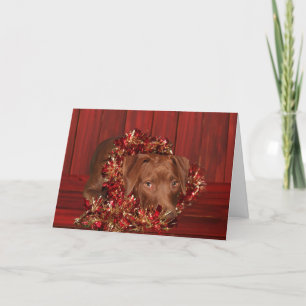 Chocolate lab mix Christmas Holiday Card
