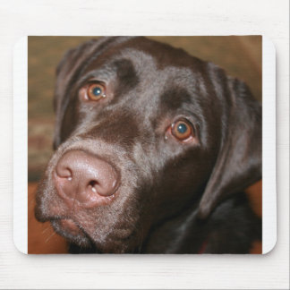 Chocolate Lab Mouse Pad