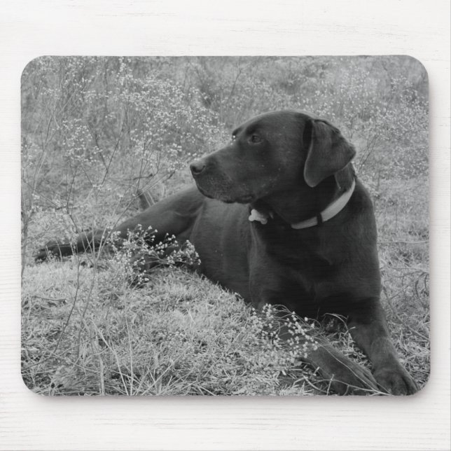 Chocolate Lab Mousepad (Front)