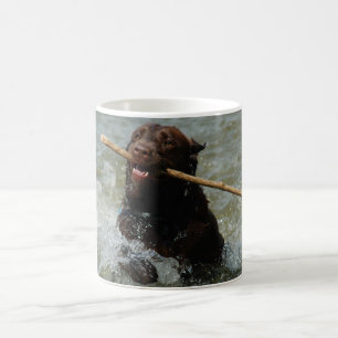 Chocolate Lab Mug