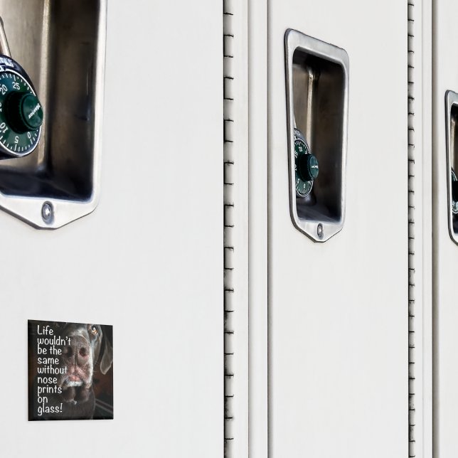 Chocolate Lab Nose Close Up Photograph Magnet (In Situ (Locker))