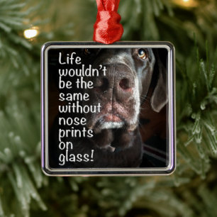 Chocolate Lab Nose Close Up Photograph Metal Ornament