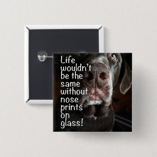 Chocolate Lab Nose Close Up Photograph Pinback Button