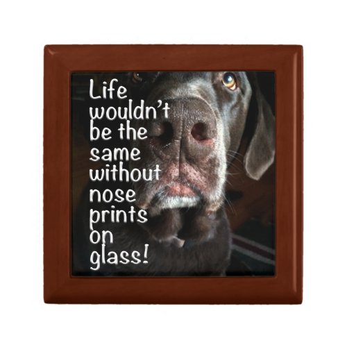 Chocolate Lab Nose Close Up Photograph Typography Jewelry Box