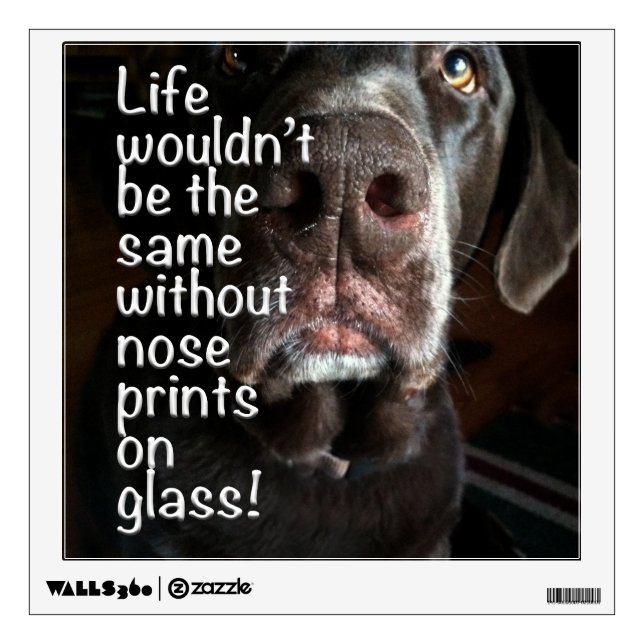 Chocolate Lab Nose Close Up Photograph Wall Sticker (Front)