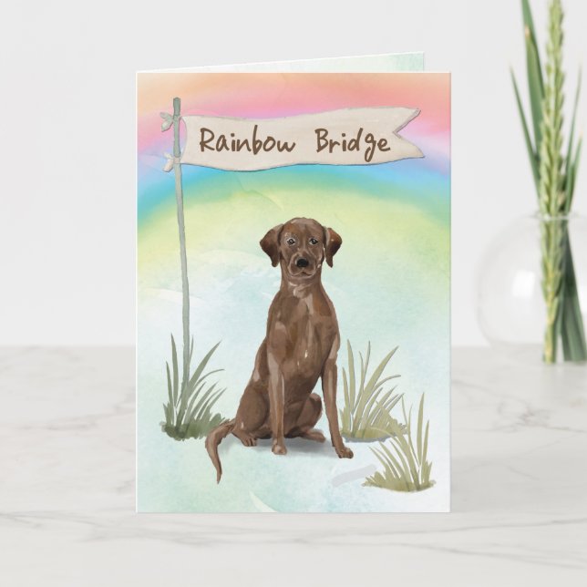 Chocolate Lab Pet Sympathy Over Rainbow Bridge Card (Front)