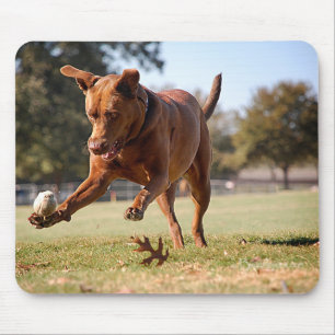 Chocolate Lab Pit Mix Dog Chasing Ball Mouse Pad