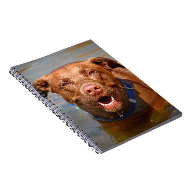 Chocolate Lab Pit Mix Dog Smiling Notebook (Right Side)