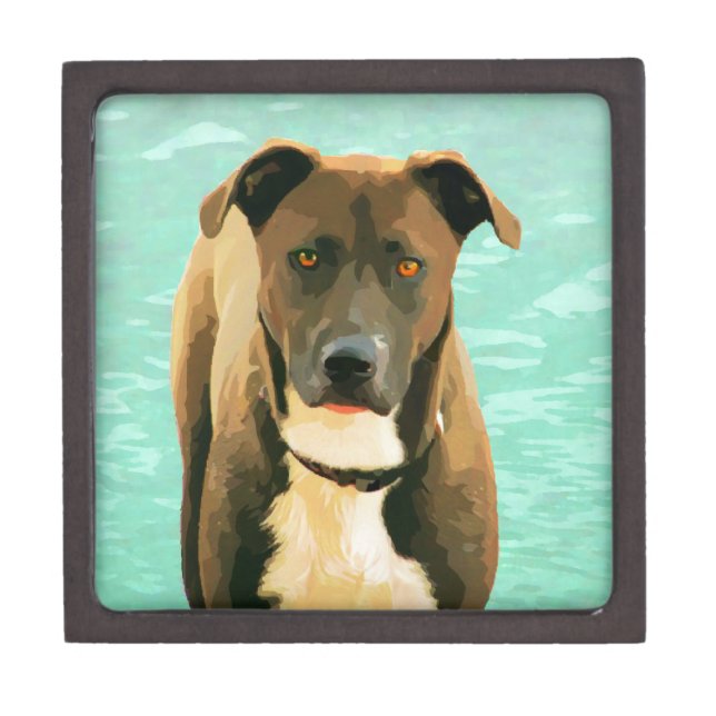 Chocolate Lab Pitbull Mix Pitador Labrabull Gift Box (Front)