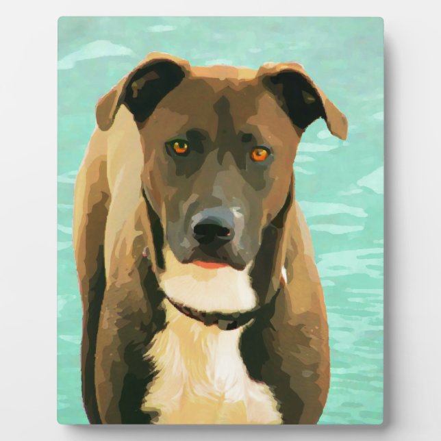 Chocolate Lab Pitbull Mix Pitador Labrabull Plaque (Front)