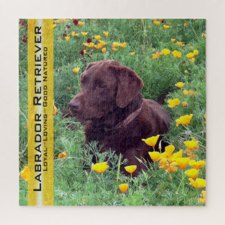 Chocolate Lab Portrait California Poppies Template Jigsaw Puzzle