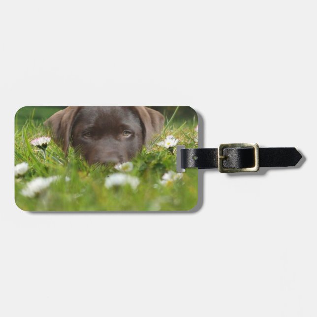 Chocolate Lab Pup Luggage Tag (Front Horizontal)