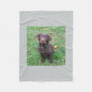 chocolate lab pup.png fleece blanket