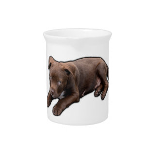 Chocolate Lab Puppy 3 Beverage Pitcher