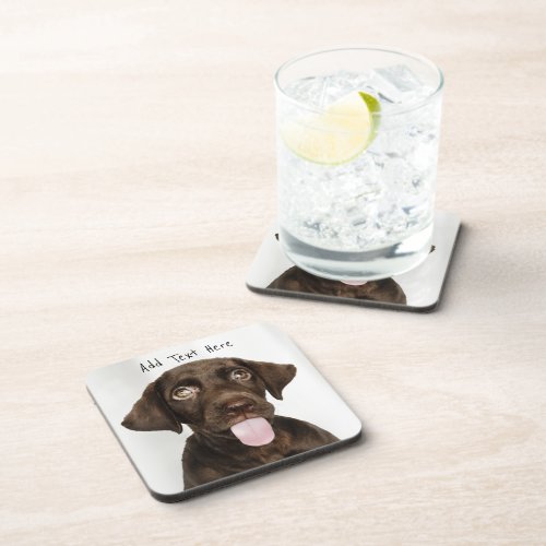 Chocolate Lab Puppy Beverage Coaster