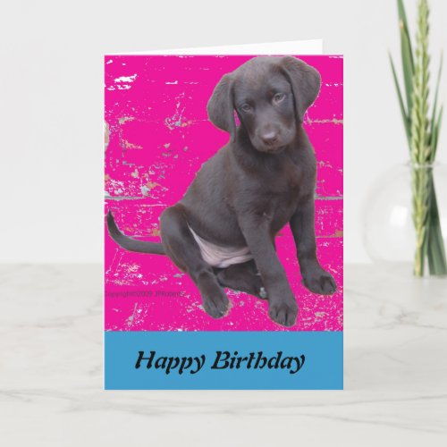 chocolate lab puppy birthday card