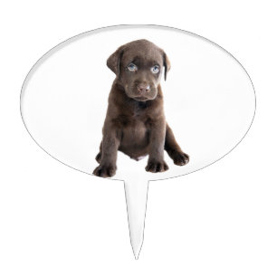 Chocolate Lab Puppy Cake Topper