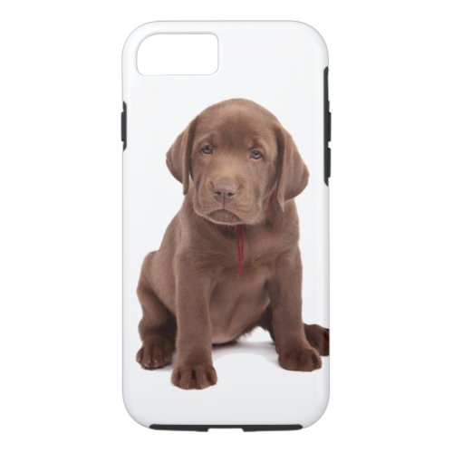 Chocolate Lab Puppy iPhone 87 Case