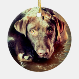 Chocolate Lab Puppy Ceramic Ornament