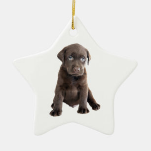 Chocolate Lab Puppy Ceramic Ornament
