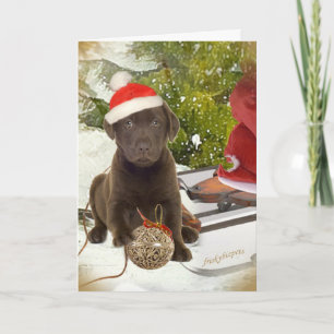 Chocolate Lab Puppy Christmas Cards