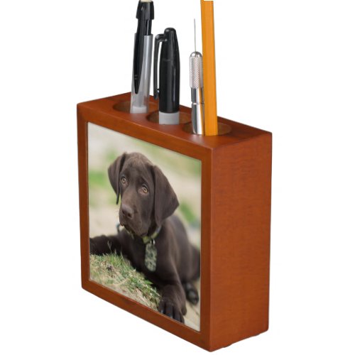 Chocolate Lab Puppy Desk Organizer