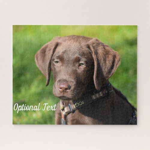 Chocolate Lab Puppy Dog Jigsaw Puzzle