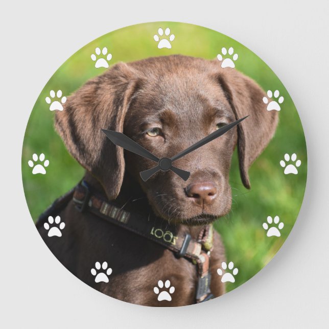 Chocolate Lab Puppy Dog Large Clock (Front)