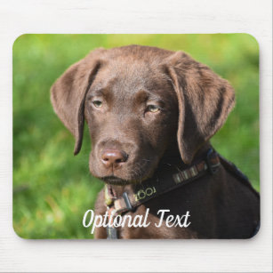 Chocolate Lab Puppy Dog Mouse Pad