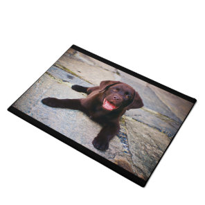 Chocolate lab puppy doormat