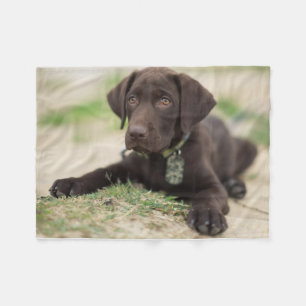 Chocolate Lab Puppy Fleece Blanket