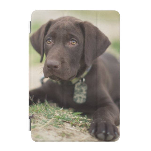 Chocolate Lab Puppy iPad Mini Cover (Front)