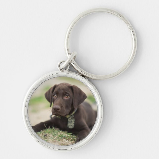 Chocolate Lab Puppy Keychain (Front)