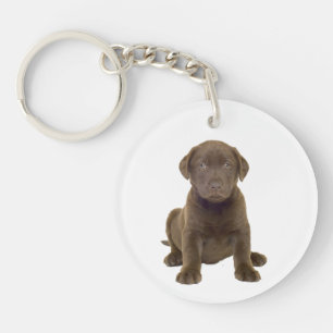 Chocolate Lab Puppy Keychain