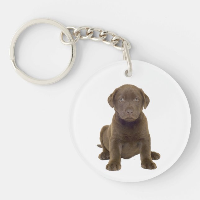 Chocolate Lab Puppy Keychain (Front)