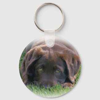 Chocolate Lab Puppy Keychain