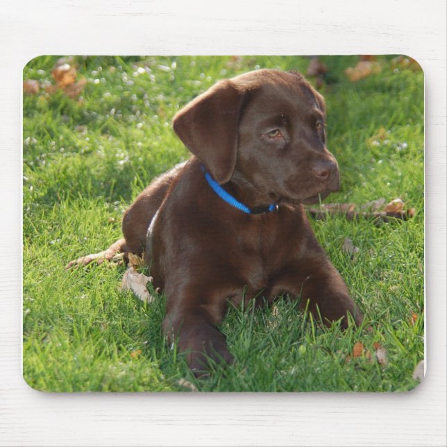 Chocolate Lab Puppy Mouse Pad (Front)
