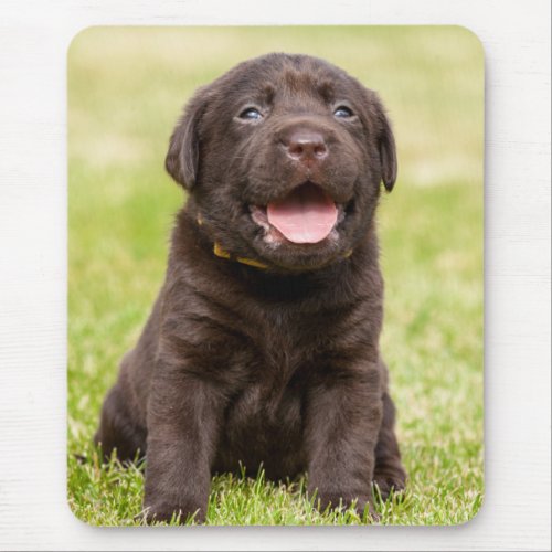 Chocolate Lab Puppy Mouse Pad