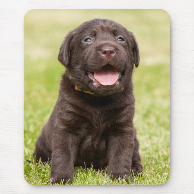 Chocolate Lab Puppy Mouse Pad (Front)