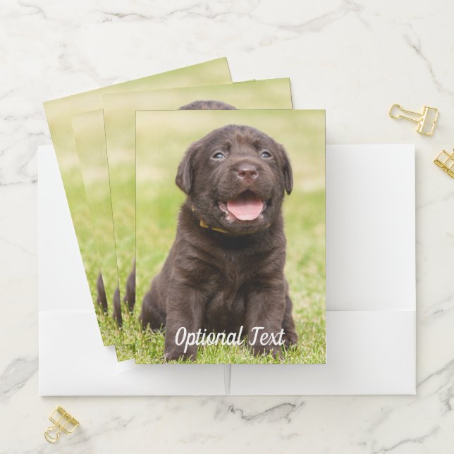 Chocolate Lab Puppy Pocket Folder (In Situ)