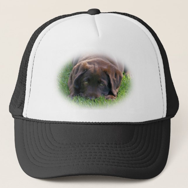 Chocolate Lab Puppy Trucker Hat (Front)