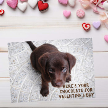 Chocolate Lab Puppy Valentine's Day Meme Card by ColorFlowCreations at Zazzle